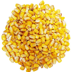 Bulk Whole Corn